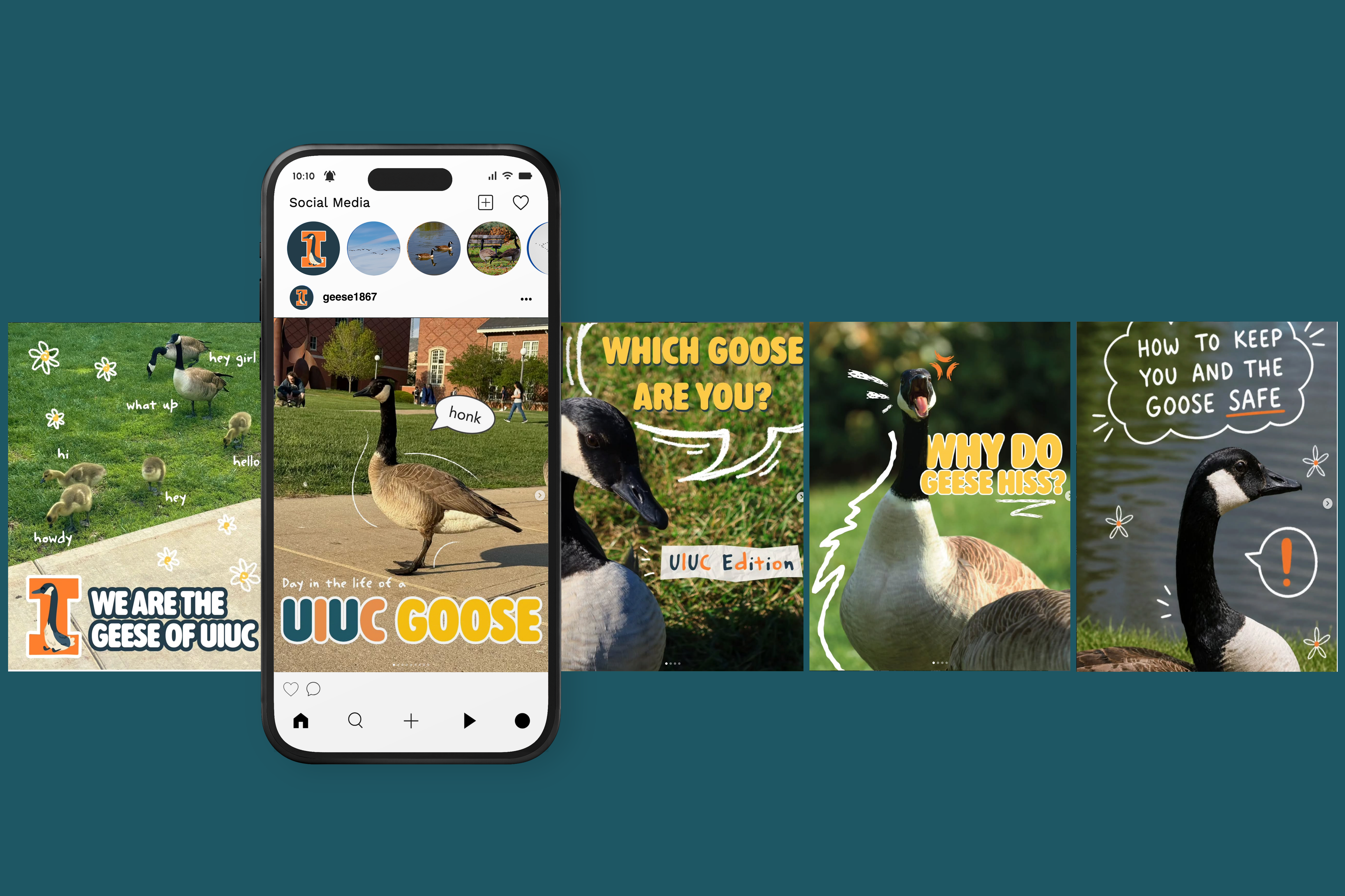 UIUC Geese Mockup