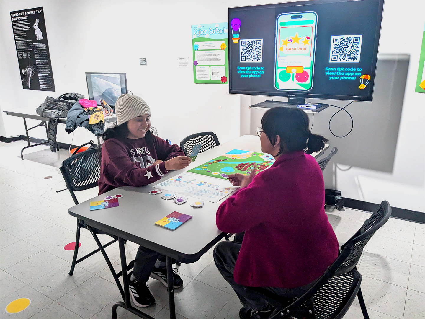 Installation Image 1